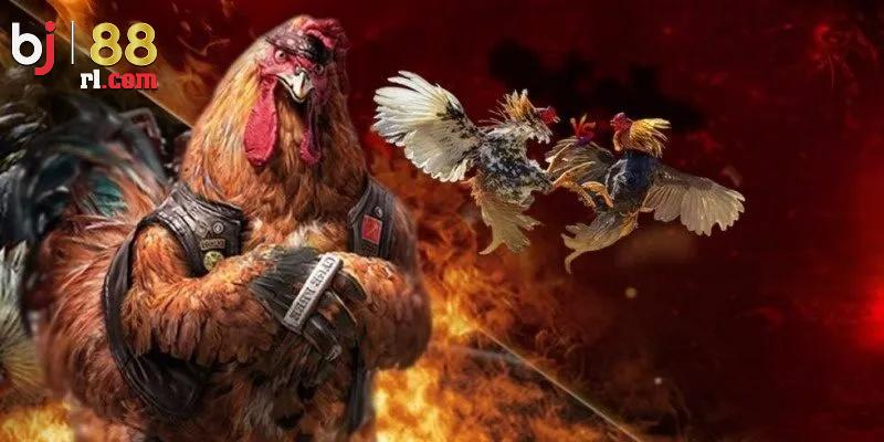 Đôi điều cần biết về sảnh game đá gà BJ88 Đôi điều cần biết về sảnh game đá gà BJ88