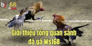 Giới thiệu sơ lược về sảnh WS168 BJ88