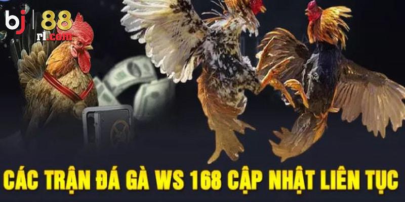 Ưu điểm vượt trội mà sảnh WS168 sở hữu Ưu điểm vượt trội mà sảnh WS168 sở hữu